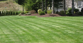 Front-Yard-Landscaping-South-Hill-WA