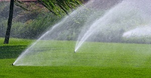 Irrigation-System-Covington-WA