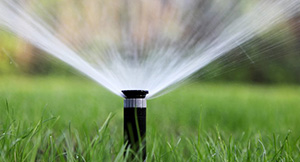Irrigation-Sprinkler-Orting-WA