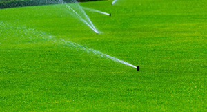 Irrigation-Sprinklers-Installation-Orting-WA