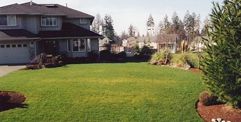 Lawn-Aeration-Maple-Valley-WA