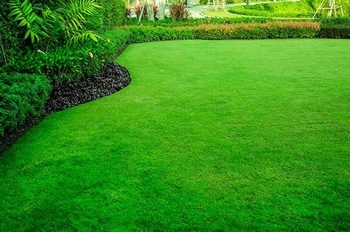 Top rated Normandy Park lawn care in WA near 98166