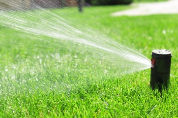 Hobart lawn irrigation services by professionals in WA near 98038