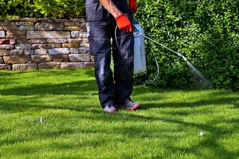 Exceptional Normandy Park lawn service in WA near 98166