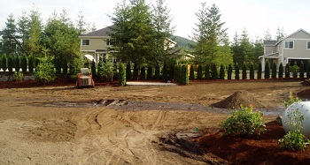 Lawn-Services-Issaquah-WA