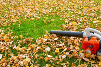 Affordable Normandy Park leaf removal service in WA near 98166