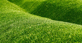 Synthetic-Grass-Enumclaw-WA