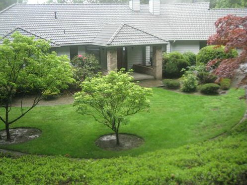Commercial-Landscaping-Normandy-Park-WA