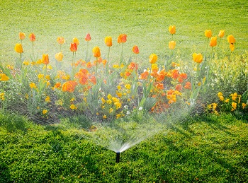 Garden-Irrigation-Fall-City-WA