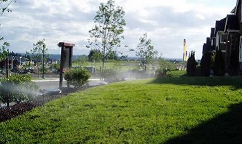 Sprinkler-System-Installation-Normandy-Park-WA