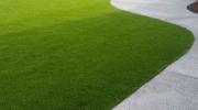 maple-valley-synthetic-turf.jpg