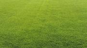 synthetic-turf-maple-valley.jpg