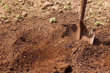 Backyard-Landscaping-Bellevue-WA