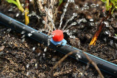 Black Diamond drip irrigation system upgrade your in WA near 98010