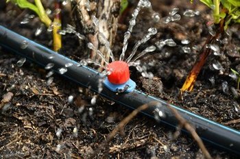 Upgrade your Enumclaw drip irrigation system in WA near 98022