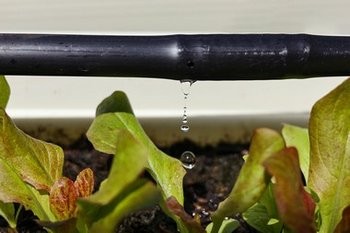 Sumner drip irrigation system for your property in WA near 98352