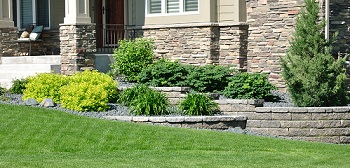 Grass-Sod-Ravensdale-WA