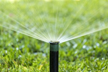 Expert Covington irrigation service in WA near 98042