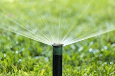 Top Rated Buckley irrigation services in WA near 98321