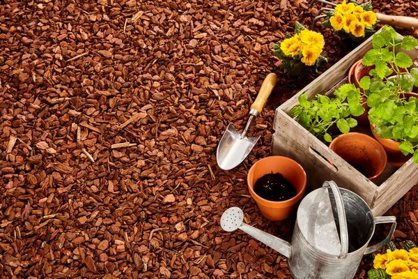 Landscape-Construction-Renton-WA