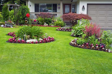 Landscape-Design-Auburn-WA