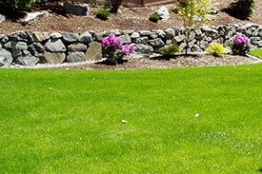 Landscape-Designer-Auburn-WA
