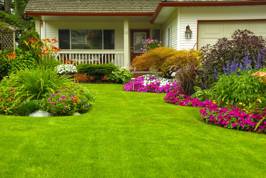 Landscape-Renovations-Wilkeson-WA