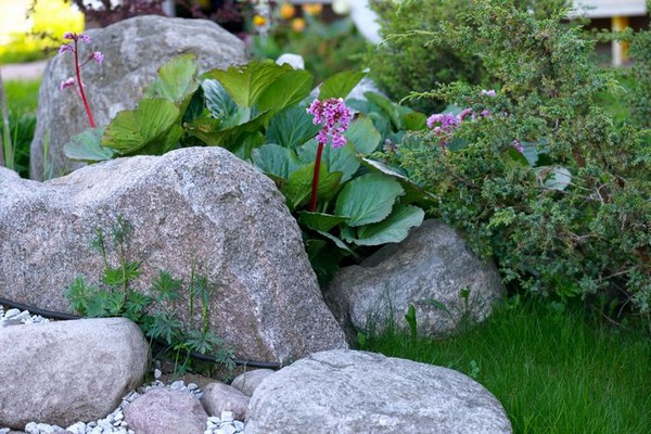 Landscaping-Boulders-Sammamish-WA