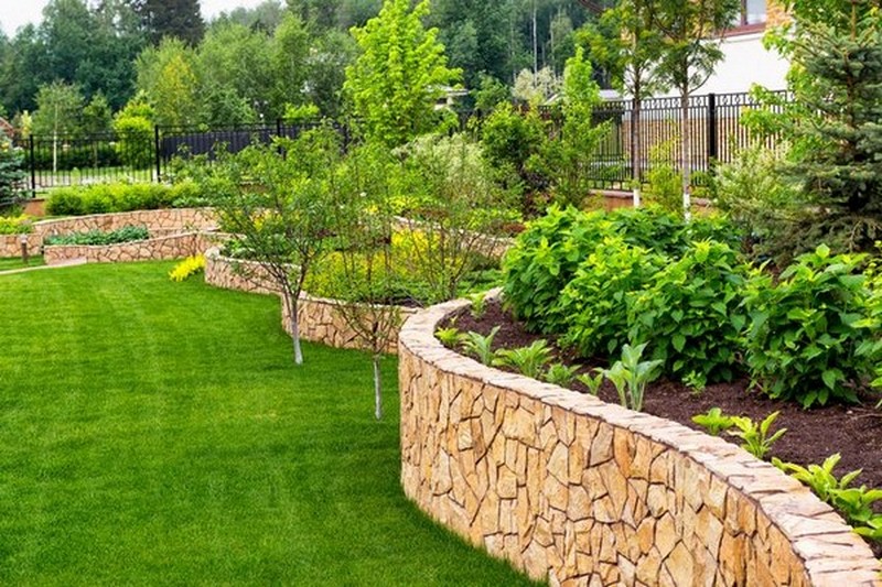 Landscaping-Trees-Renton-WA