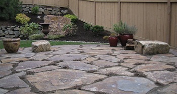 Lawn-Care-Tips-Newcastle-WA