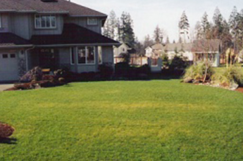 Lawn-Care-Wilkeson-WA