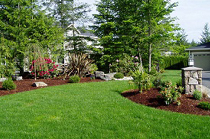 Lawn-Hydroseeding-Wilkeson-WA
