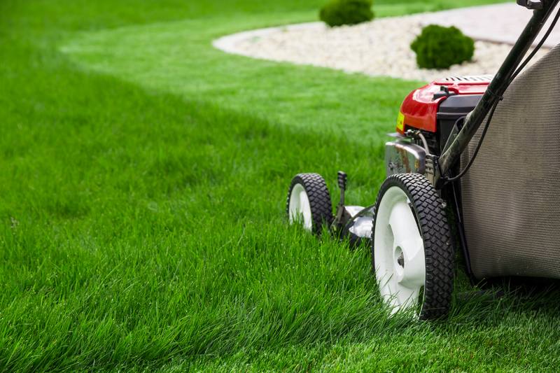 Lawn-Maintenance-Orting-WA