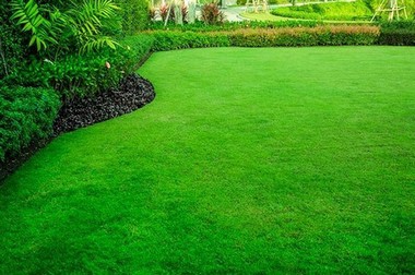 Lawn-Service-Auburn-WA