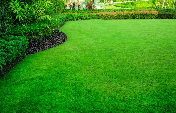 Lawn-Service-Issaquah-WA