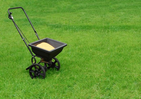 Lawn-Service-Kent-WA