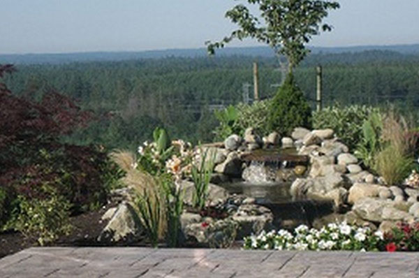Lawn-Service-Renton-WA