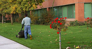 Lawn-Service-Spanaway-WA