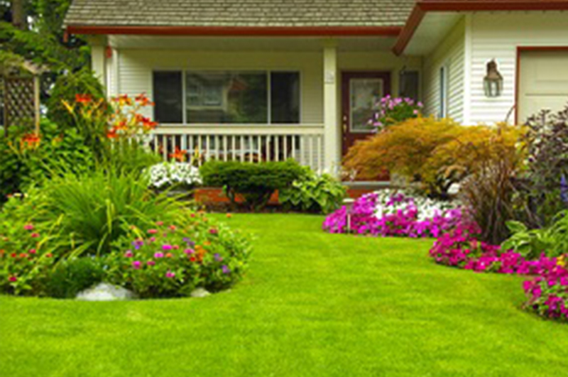 Lawn-Service-Wilkeson-WA
