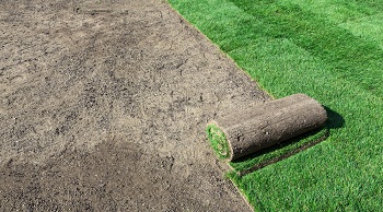 Lawn-Sod-Ravensdale-WA