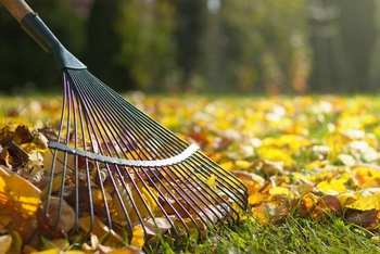 Affordable Lake Tapps leaf removal service in WA near 98390