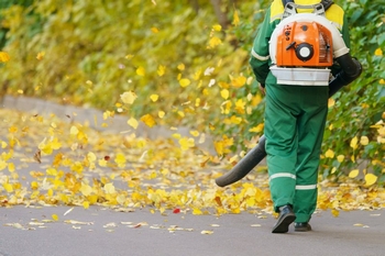 Reliable Newcastle leaf removal service in WA near 98059