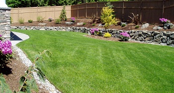 Overseeding-Lawn-Ravensdale-WA