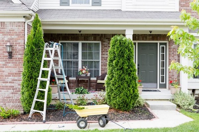 Planting-Trees-Renton-WA