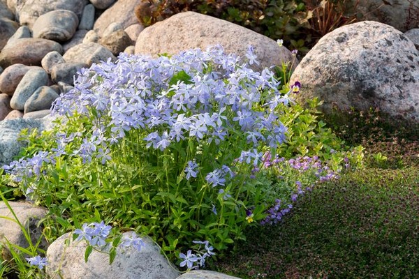 Rockery-Boulders-Issaquah-WA
