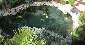 Rockery-Wall-Issaquah-WA