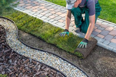 Issaquah sod installation experts in WA near 98027