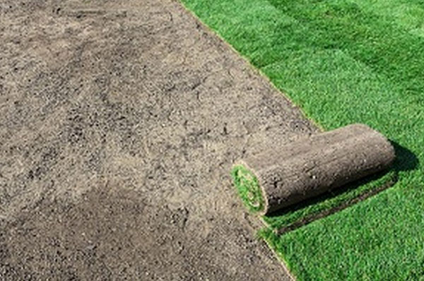 Sod-Renton-WA