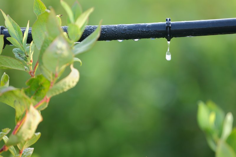 Sprinkler-Winterization-Mercer-Island-WA