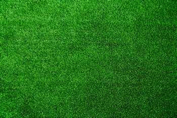 Beautiful North Bend synthetic turf in WA near 98045